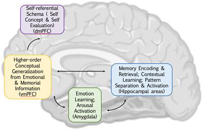 A theory of the neural mechanisms underlying negative cognitive bias in major depression